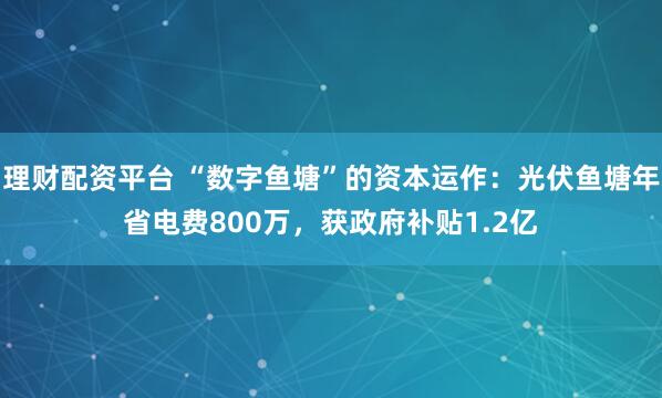 理财配资平台 “数字鱼塘”的资本运作：光伏鱼塘年省电费800万，获政府补贴1.2亿
