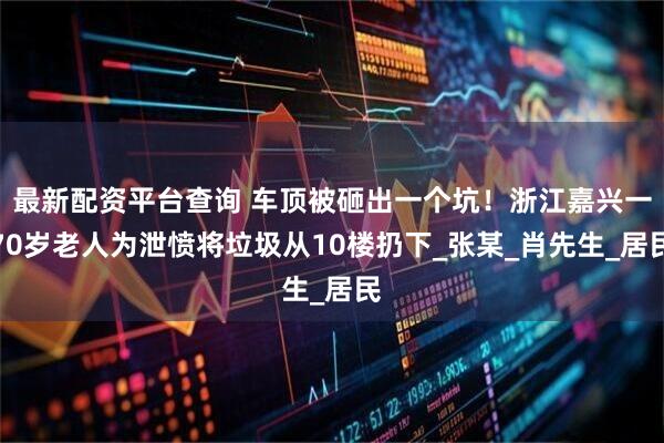 最新配资平台查询 车顶被砸出一个坑！浙江嘉兴一70岁老人为泄愤将垃圾从10楼扔下_张某_肖先生_居民